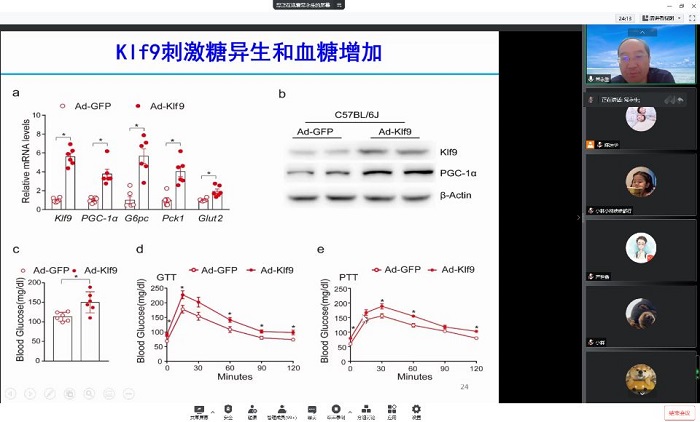 /crm/product/image/20220627/1656326353362064860.jpg 1656326353362064860.jpg